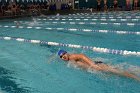 Swimming vs Bentley  Wheaton College Swimming & Diving vs Bentley College. - Photo by Keith Nordstrom : Wheaton, Swimming & Diving